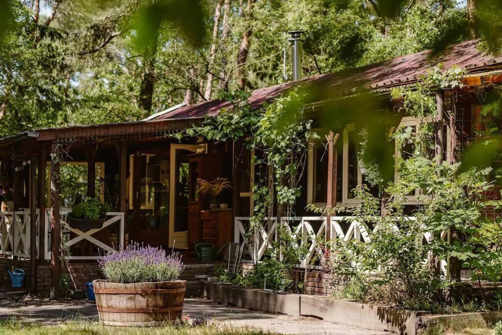 Forest Cottage With Lovely Garden & Sauna Doornspijk Kültér fotó