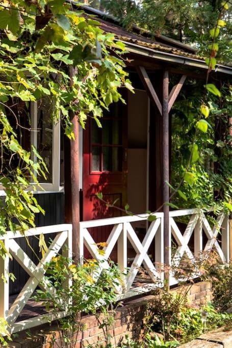 Forest Cottage With Lovely Garden & Sauna Doornspijk Kültér fotó